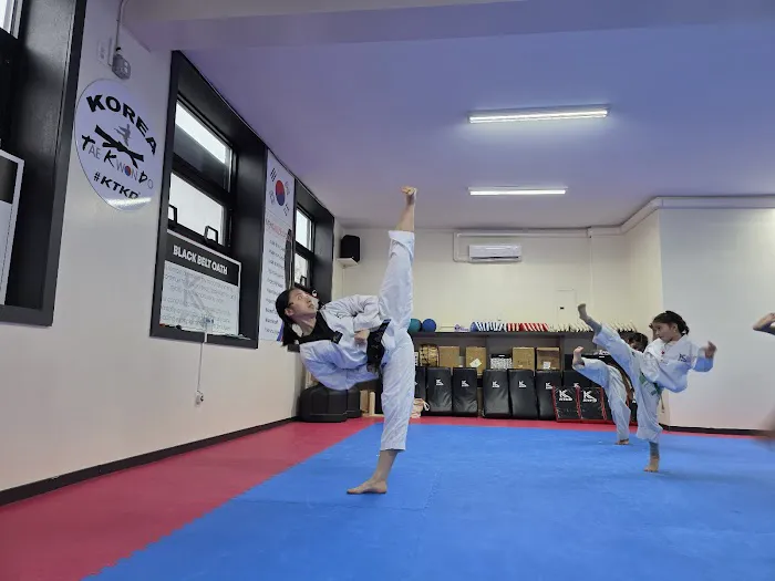 Korea Taekwondo-KTKD Corona Picture 5