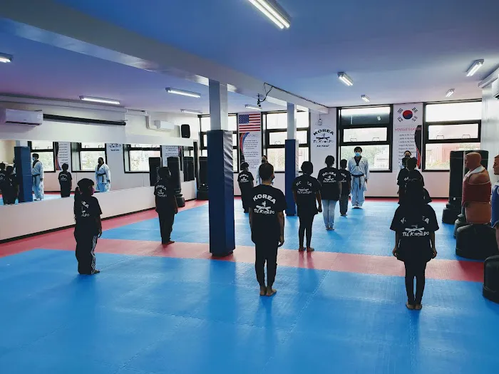 Korea Taekwondo-KTKD Corona Picture 9