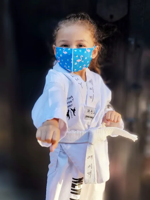 NewYork TaeKwonDo Center & NYK Kickboxing Picture 7