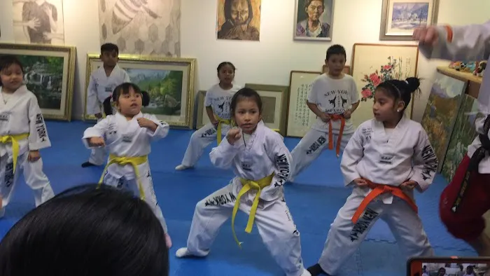 NewYork TaeKwonDo Center & NYK Kickboxing Picture 10