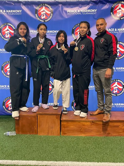 Warriors TaeKwondo studio Picture 7