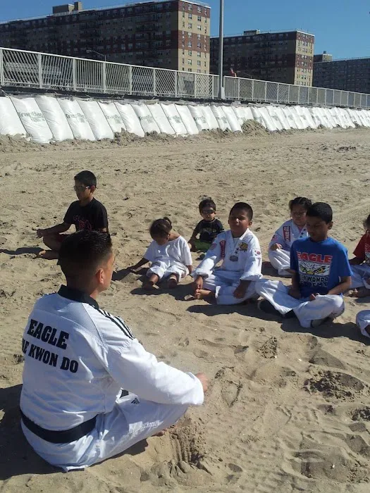 Eagle Taekwondo Academy Picture 8