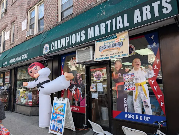 Champions Martial Arts Kew Gardens Picture 4