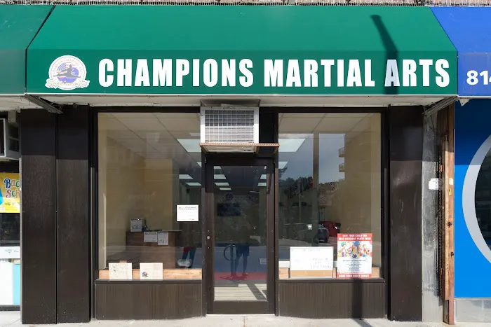 Champions Martial Arts Kew Gardens Picture 9