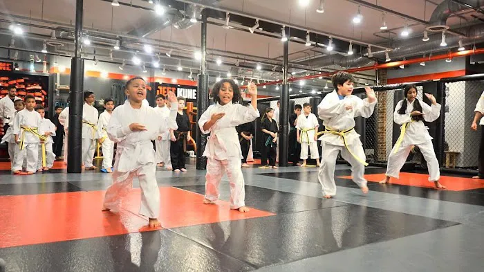 Training Zone NYC - Ozone Park Picture 4