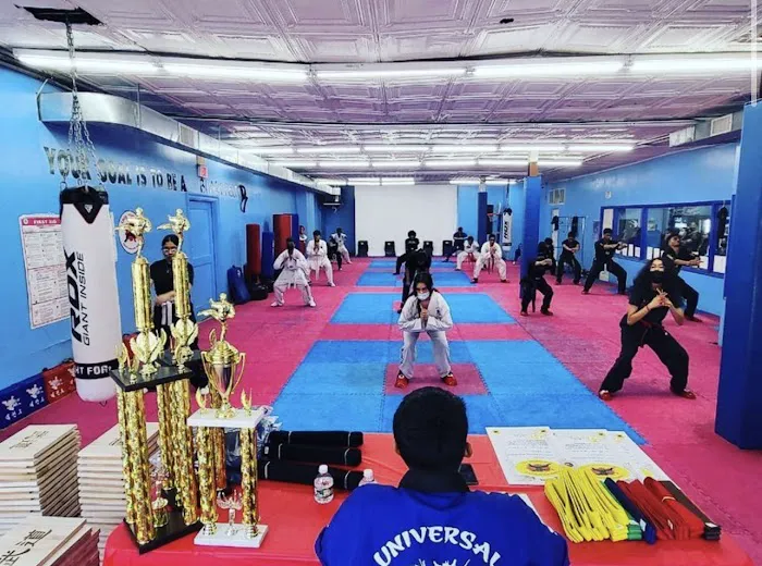 Universal Mixed Martial Arts Picture 5