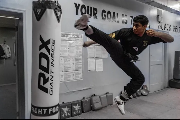 Universal Mixed Martial Arts Picture 6