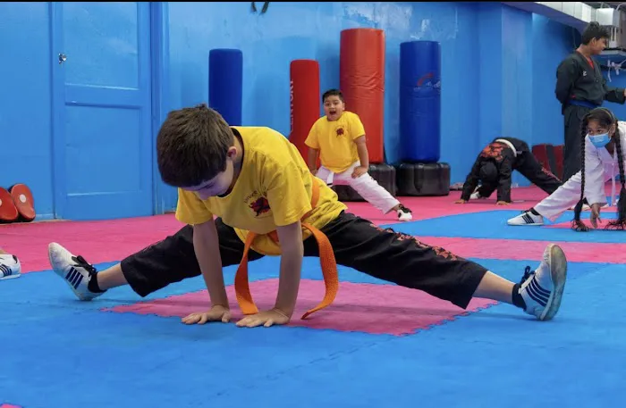 Universal Mixed Martial Arts Picture 8