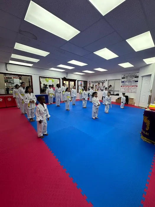 United Taekwondo Center & TMA KickBoxing Picture 2