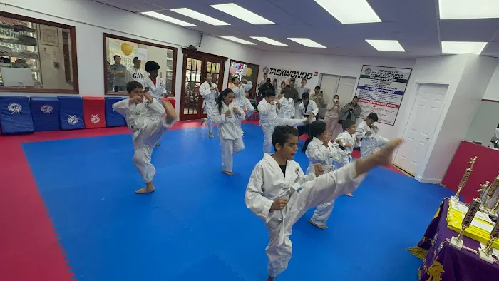 United Taekwondo Center & TMA KickBoxing Picture 4