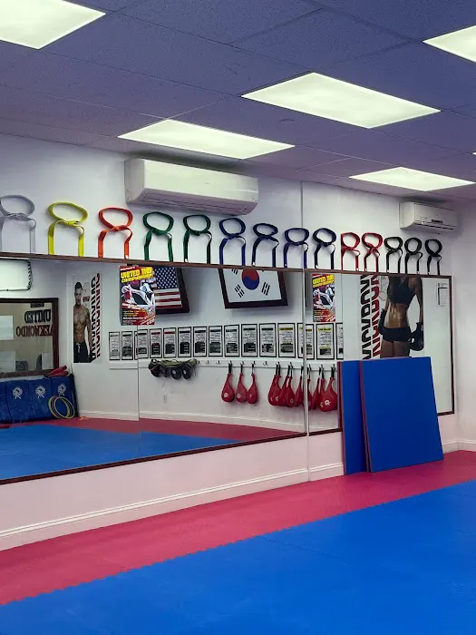 United Taekwondo Center & TMA KickBoxing Picture 7