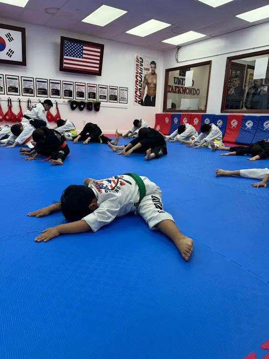 United Taekwondo Center & TMA KickBoxing Picture 10