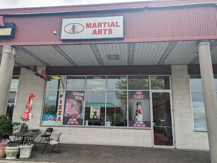 RKF Martial Arts Picture 5