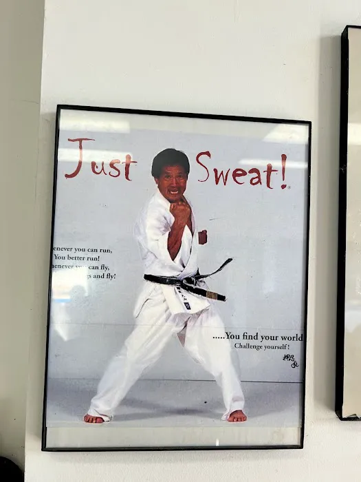 World Oyama Karate Sakataka Dojo Picture 3