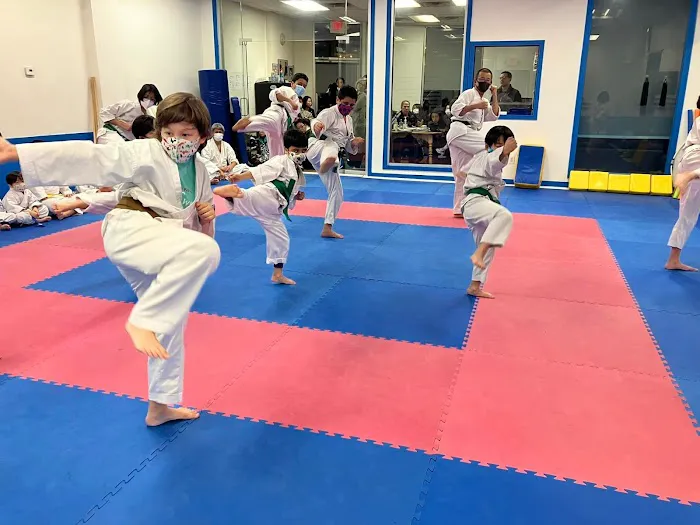 World Oyama Karate Sakataka Dojo Picture 9