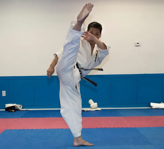 World Oyama Karate Sakataka Dojo Picture 8