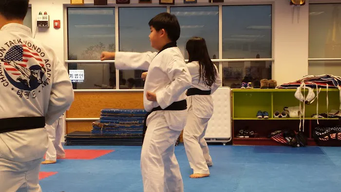 Champion Tae Kwon Do Academy Picture 1