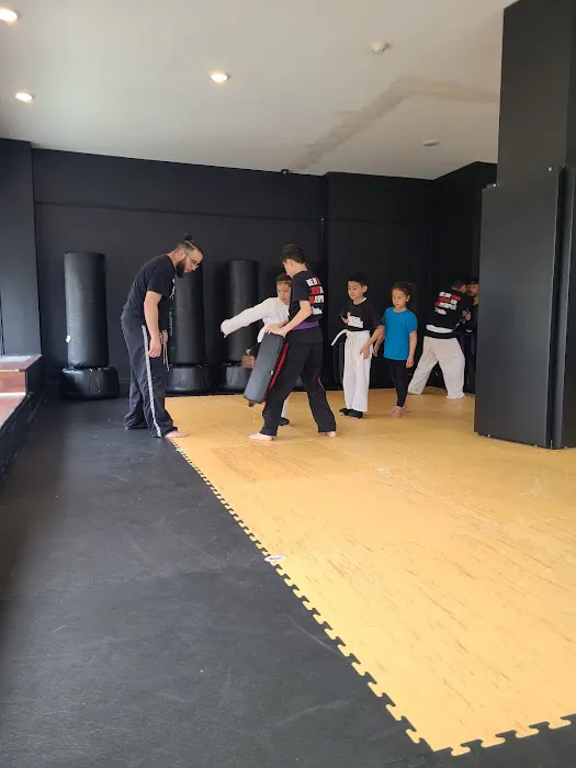 Xtreme Edge Martial Arts Picture 2