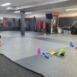 Zentai Martial Arts & Summer Camp - North Arlington