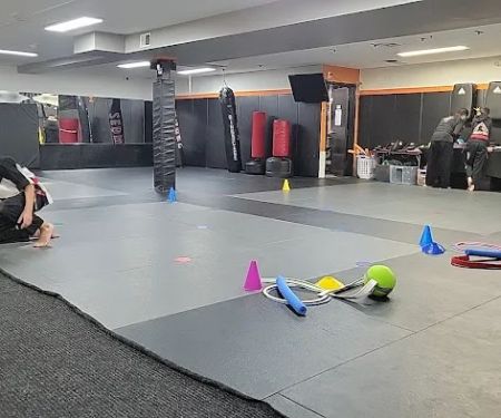 Zentai Martial Arts & Summer Camp - North Arlington