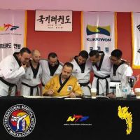 International Martial Arts ico