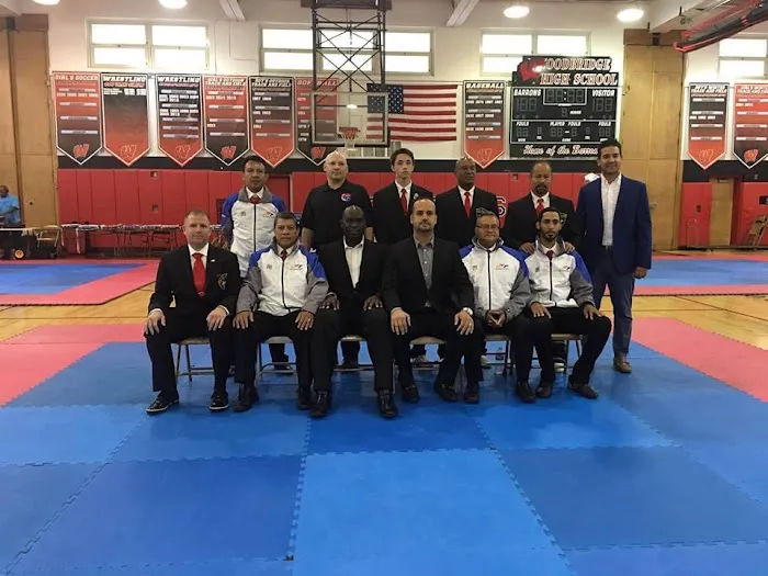 International Martial Arts Picture 5