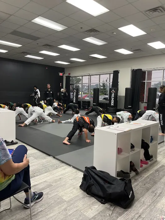 Zentai Martial Arts & Summer Camp - Belleville Picture 3