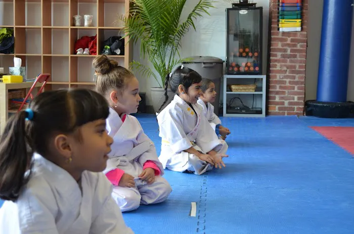 FastKick Martial Arts Picture 3