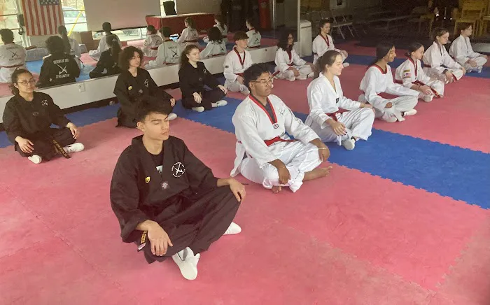 Xcel Tae Kwon Do Martial Arts Picture 3