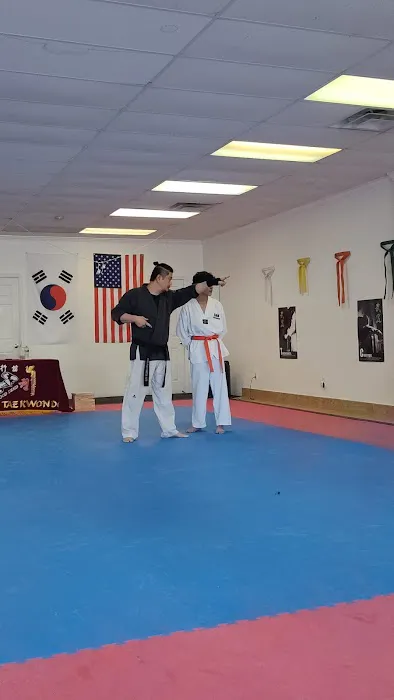 SHK Taekwondo Picture 2