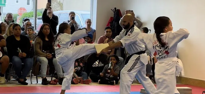 SHK Taekwondo Picture 1