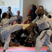 SHK Taekwondo ico