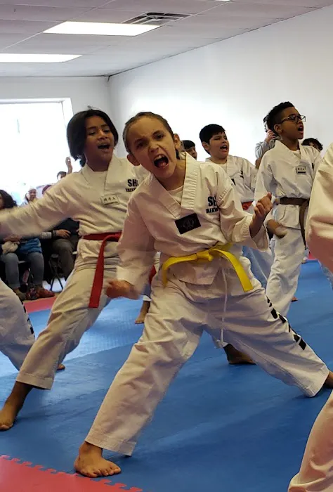 SHK Taekwondo Picture 10