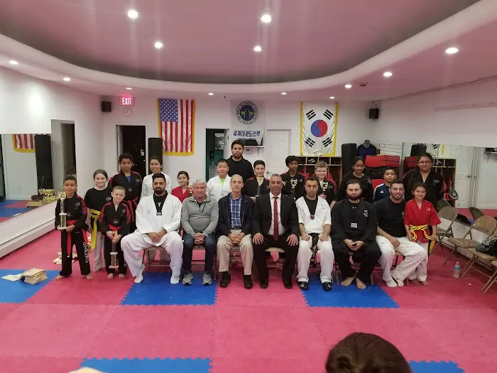 Sheiks Tae Kwon Do Picture 3