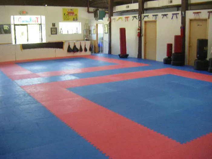 Legacy Tae Kwon DO Picture 3