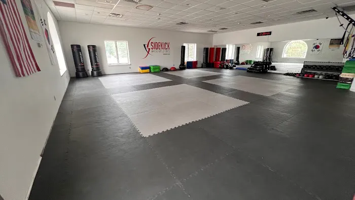 Sidekick Martial Arts & Fitness Picture 3