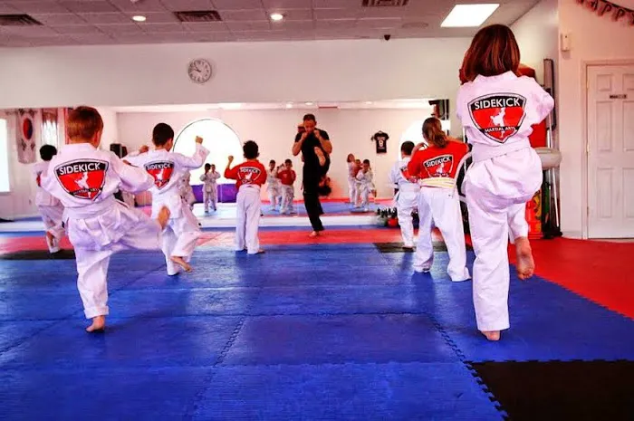 Sidekick Martial Arts & Fitness Picture 1