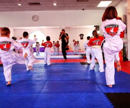 Sidekick Martial Arts & Fitness