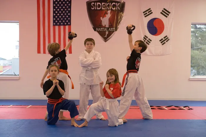 Sidekick Martial Arts & Fitness Picture 6