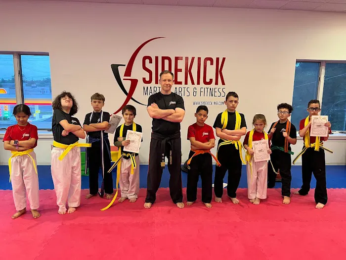 Sidekick Martial Arts & Fitness Picture 9