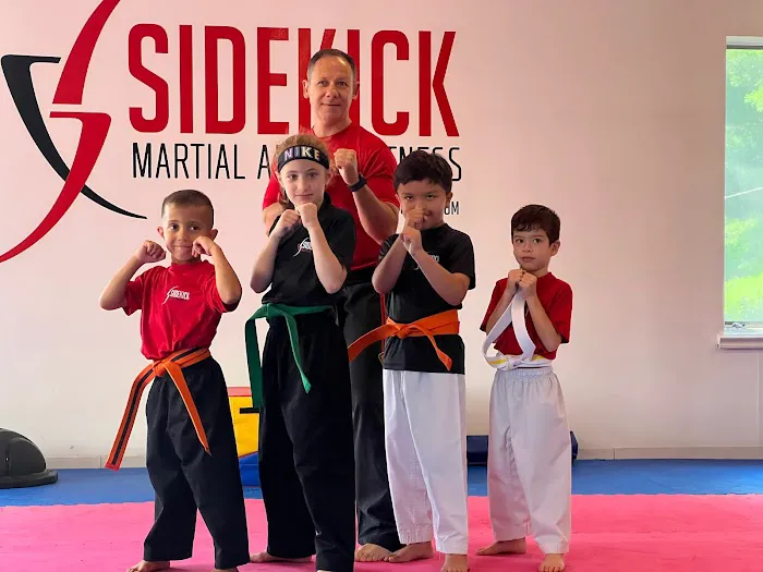 Sidekick Martial Arts & Fitness Picture 10