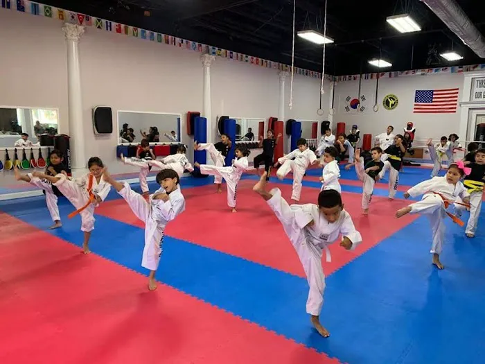 D-Best-1 Taekwondo, Kickboxing & Martial Art School - Clifton Location Picture 3