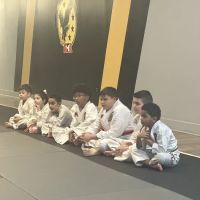 ATA Park Karate ico