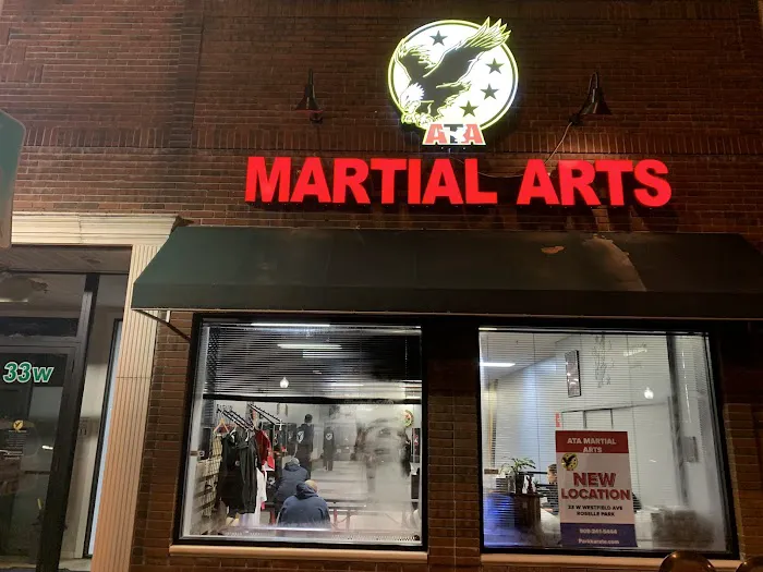 ATA Park Karate Picture 4