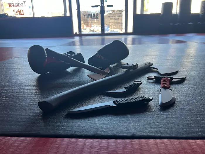 Union UTA Martial Arts / SAMI Combat Systems Of NJ Picture 1