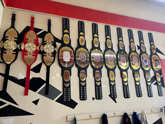 Union UTA Martial Arts / SAMI Combat Systems Of NJ Picture 6