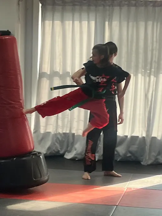 AmeriKick Martial Arts | Kickboxing 10305 | Kids Karate Picture 6