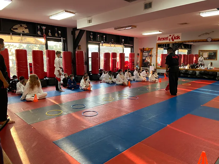 AmeriKick Martial Arts | Kickboxing 10305 | Kids Karate Picture 10