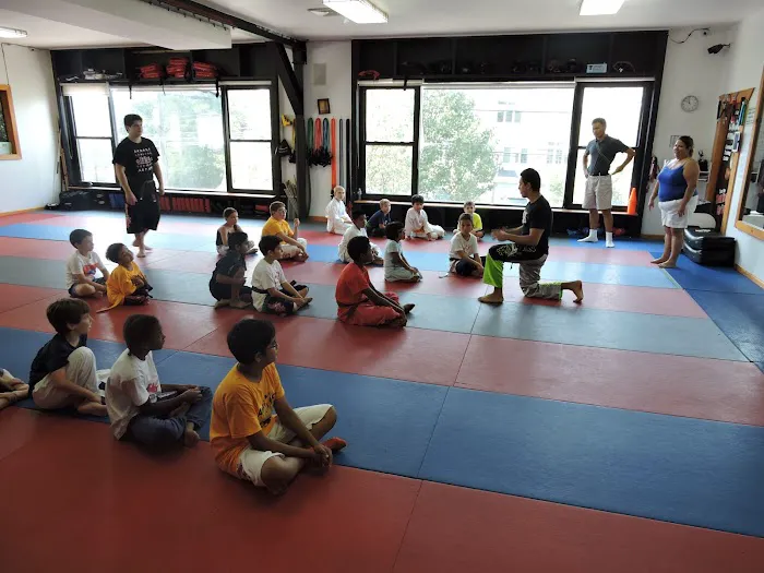 AmeriKick Martial Arts | Kickboxing 10305 | Kids Karate Picture 9
