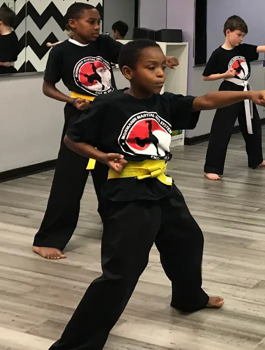 Mormando Martial Arts System Picture 5